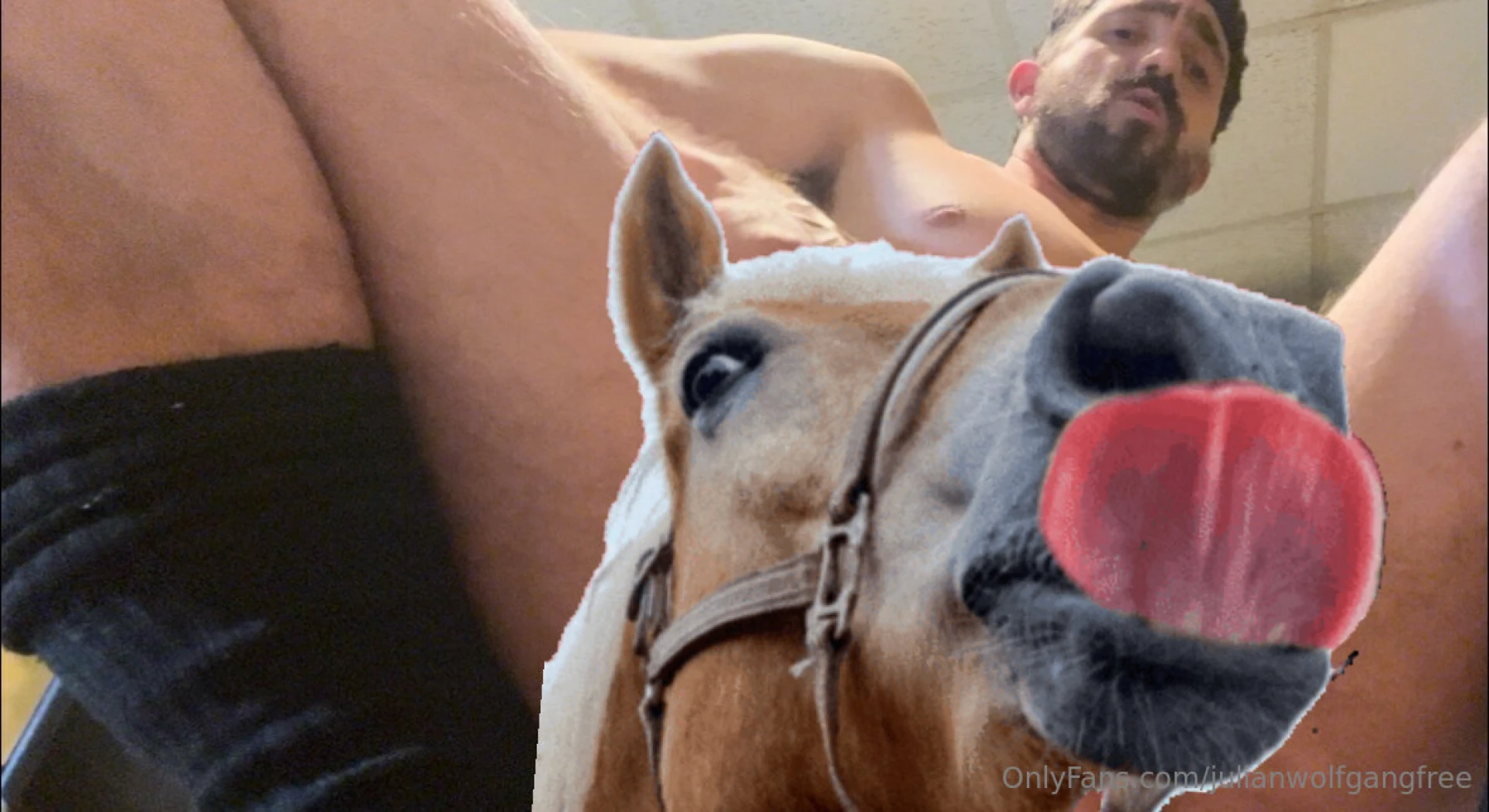 This was my dream last night onlyfans com julianwolfgang 