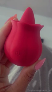 I let the rose take control and recorded every second of it you ve