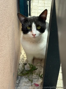 I m always looking after the animals when i m abroad part 6