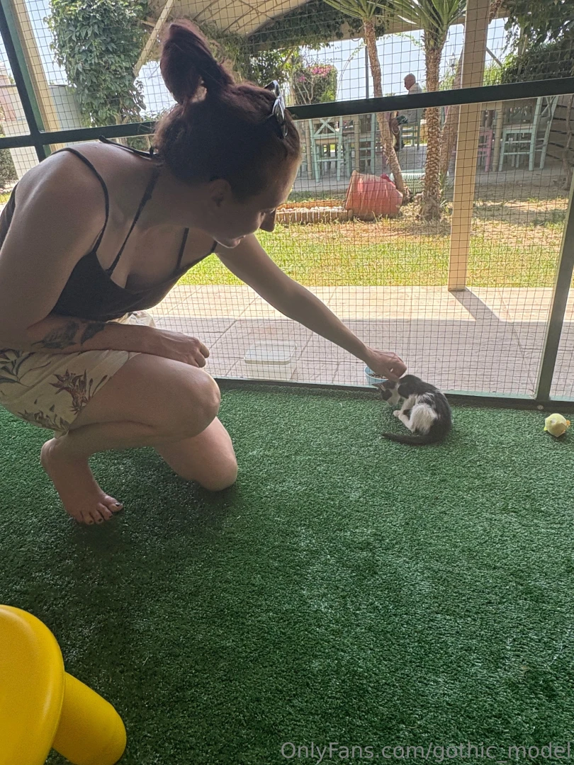 I m always looking after the animals when i m abroad part 5 