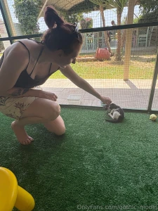 I m always looking after the animals when i m abroad part 5