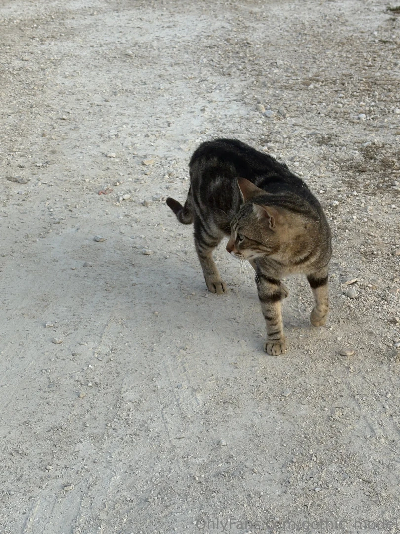 Hiya everyone sorry i haven t been posting i don t have much time part 2 