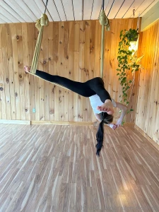 Aerial yoga was fun this morning do we like a strong flexible flippy