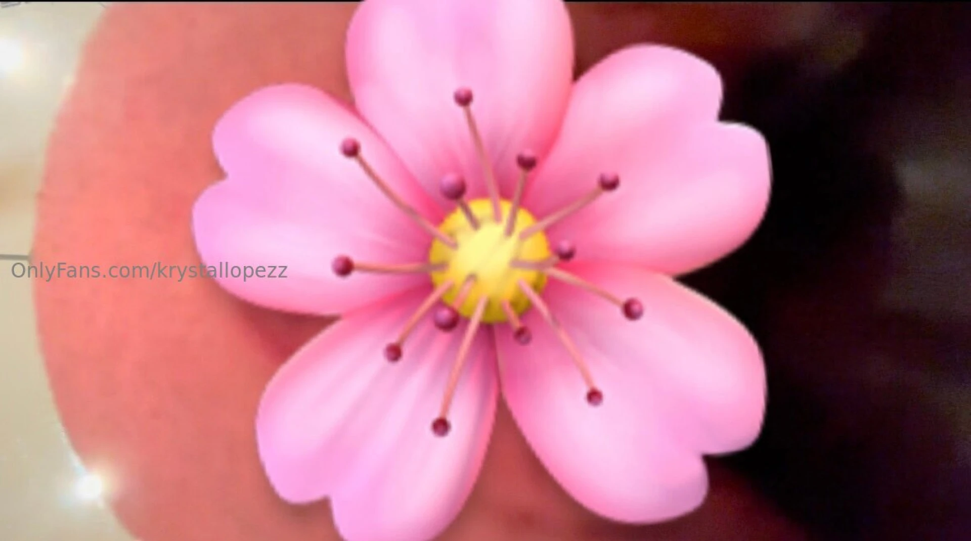 Sneak peak of the 4 pov dildo riding video go check it out 