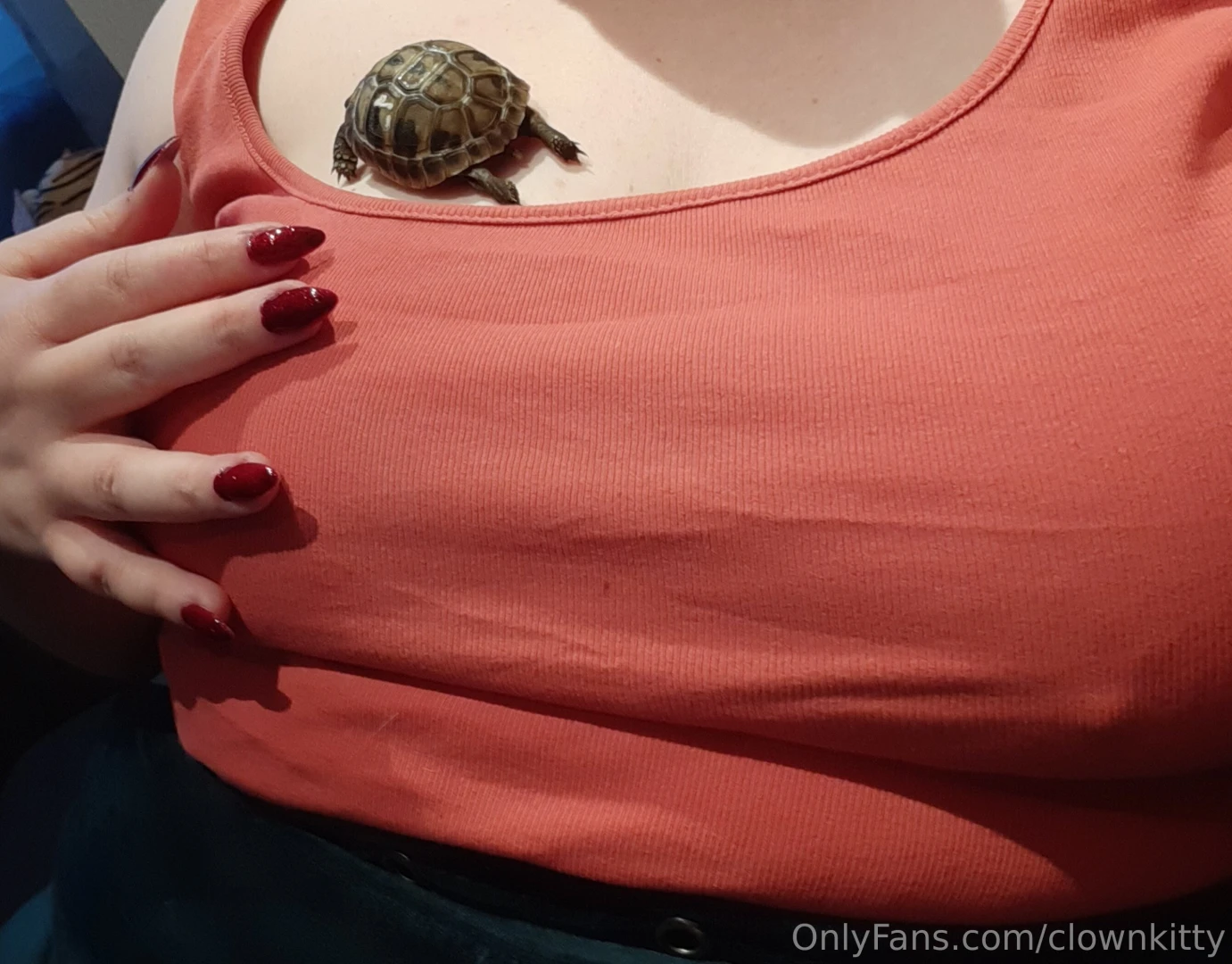 Fellow clowns how are you spending nye i ll be spending tonight with 