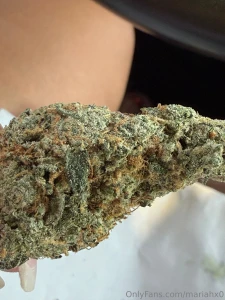 Pretty flowers for my trip to california san louis obispo paso robles