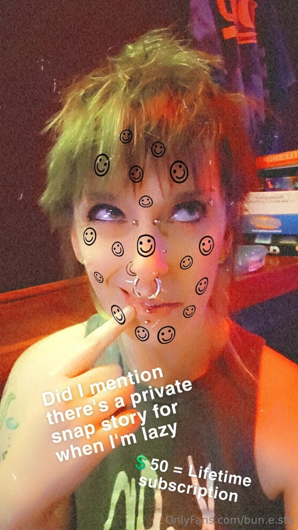 Private snap story 50 for a lifetime subscription it s more likely 