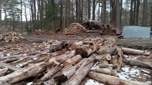 Little sunday fun in the woods with my tractor