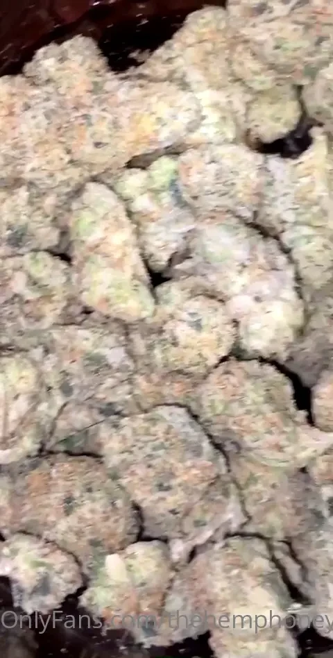 Some weed porn to go along with my regular porn do you prefer indica 