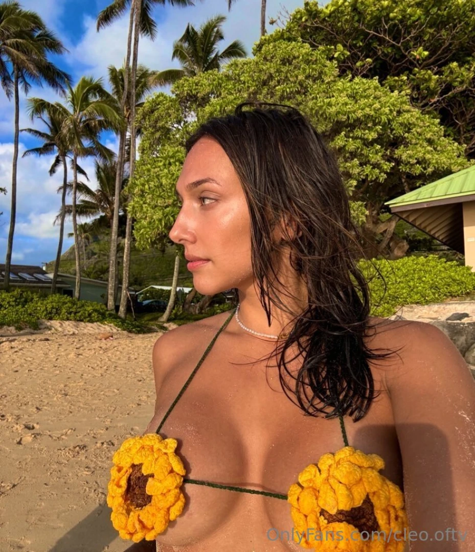 Do you like sunflowers part 2 