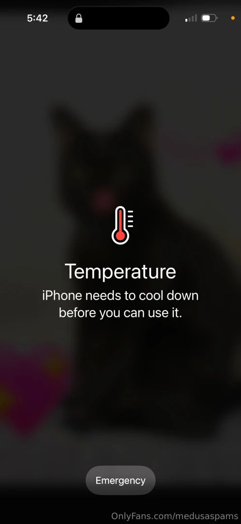 Workoutwednesday 02 12 2025 setbacks have me with negative gains i won 