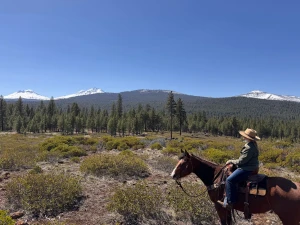 Took this and wanted to share the view