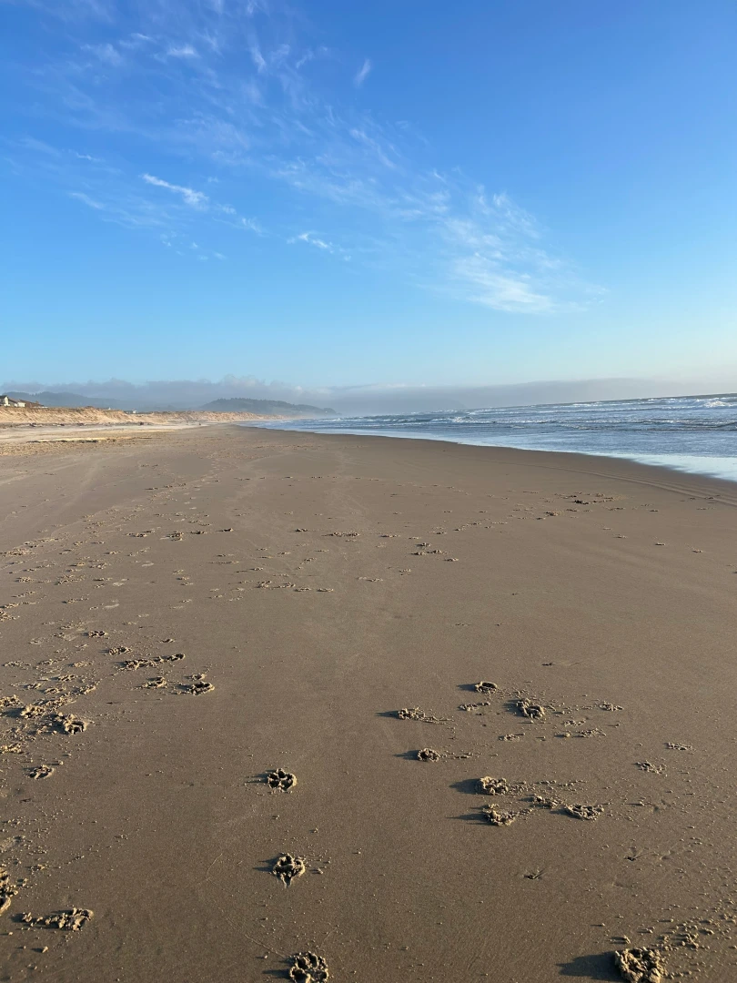 Golden hour and good company part 1 