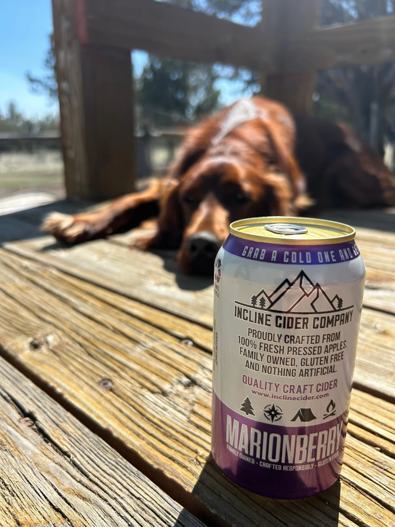 Golden hour and good company 