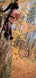 We always have beautiful views in the forest part 2