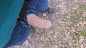 Es geht doch nichts ber einen sch nen spaziergang im wald part 1