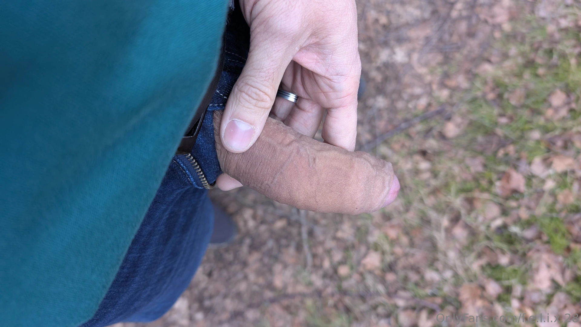 Es geht doch nichts ber einen sch nen spaziergang im wald 