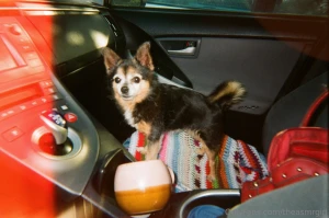 Me my girl amp some of our little adventures i hope u had a lovely part 1