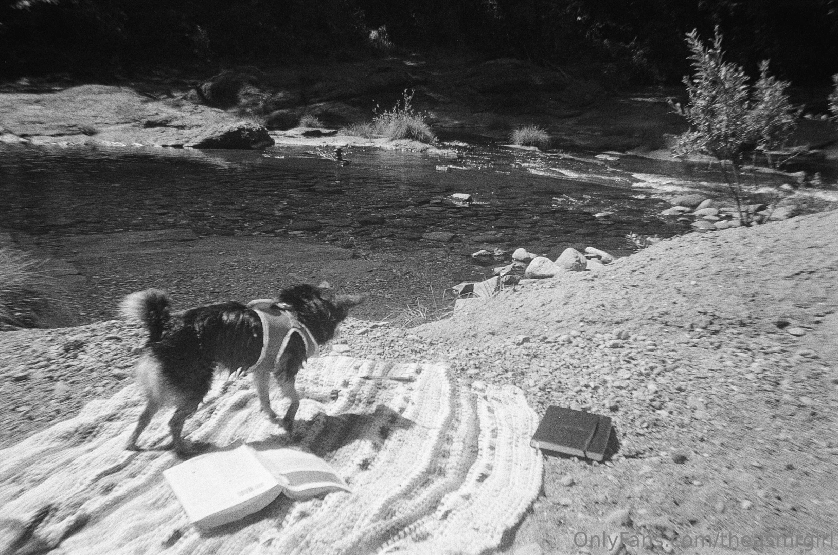 Me my girl amp some of our little adventures i hope u had a lovely part 2 