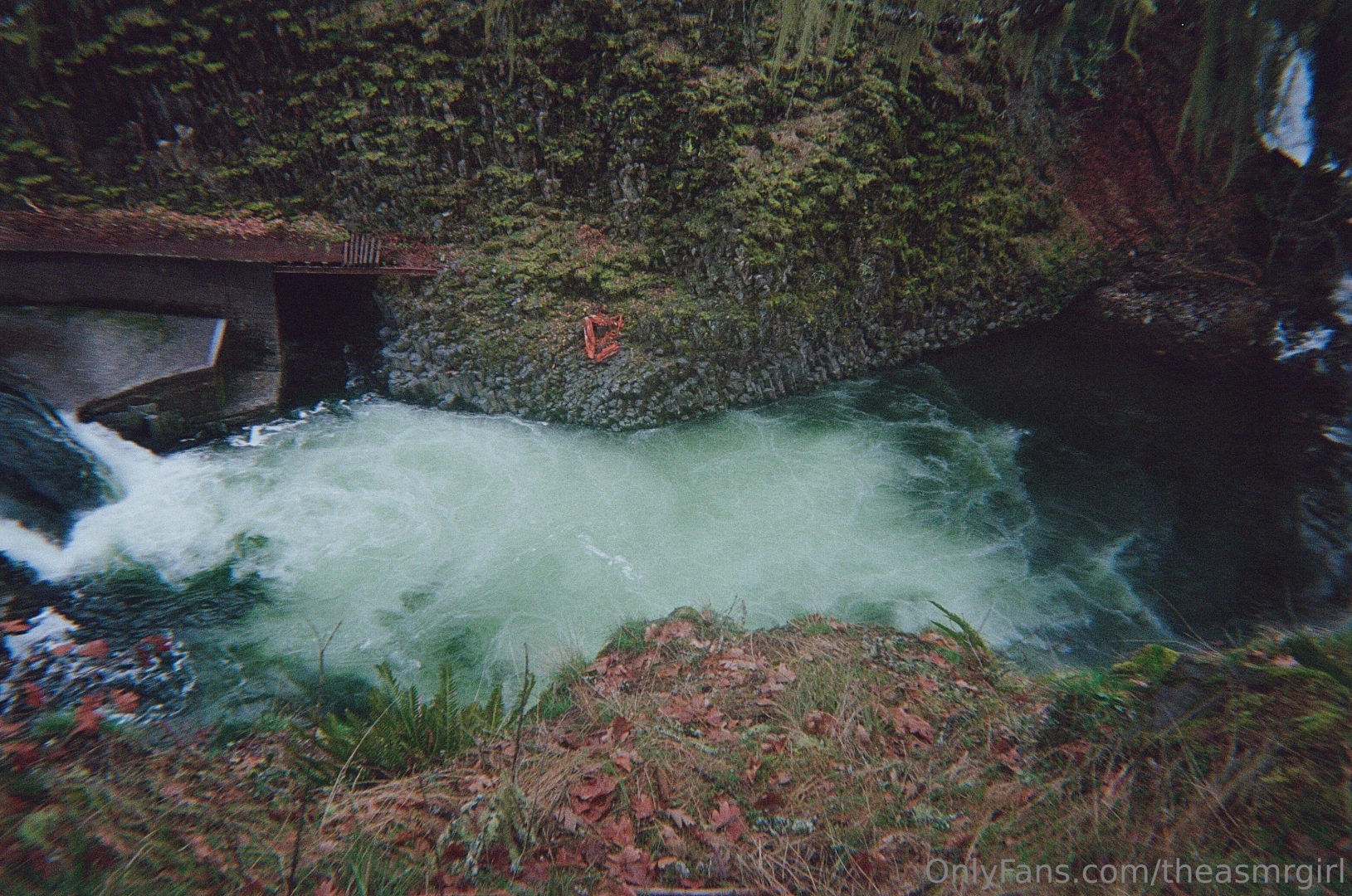 One of my favorite parts of being alive is getting out into nature 