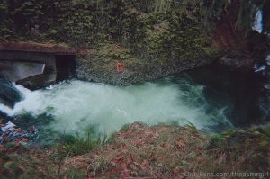 One of my favorite parts of being alive is getting out into nature