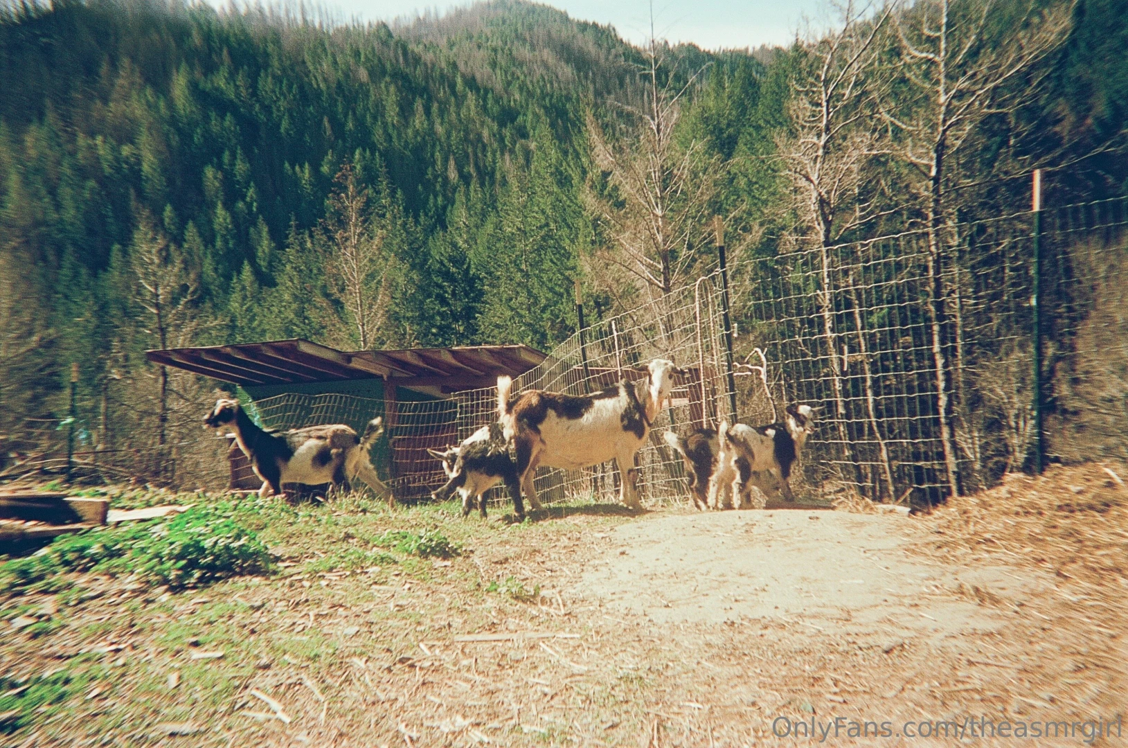 One of my favorite parts of being alive is getting out into nature part 1 