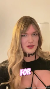 It s not just fashion this collar means playtime s serious pregnant