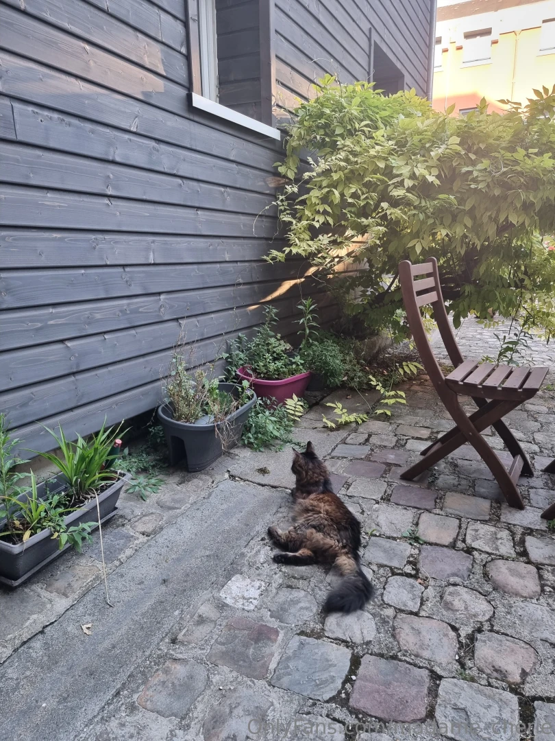 Hey loves i know it s been quiet on here for a few weeks life has been 