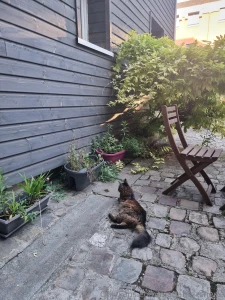 Hey loves i know it s been quiet on here for a few weeks life has been