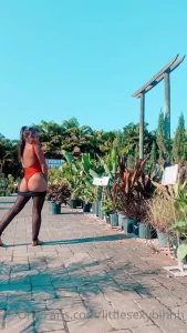 Got some plants for my garden