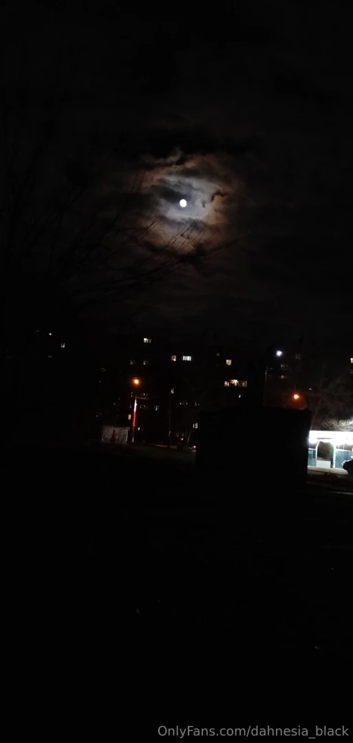 The night is more honest than the day 