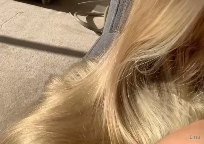 Still sinnlich gef hrlich ruhig traust du dich n her 