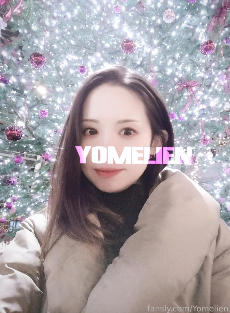 I walked alone down a main street in japan decorated with christmas part 1 