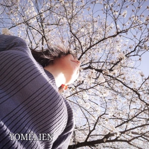 The day when cherry blossoms in japan are in full bloom is just around