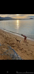 Animals don t talk they feel