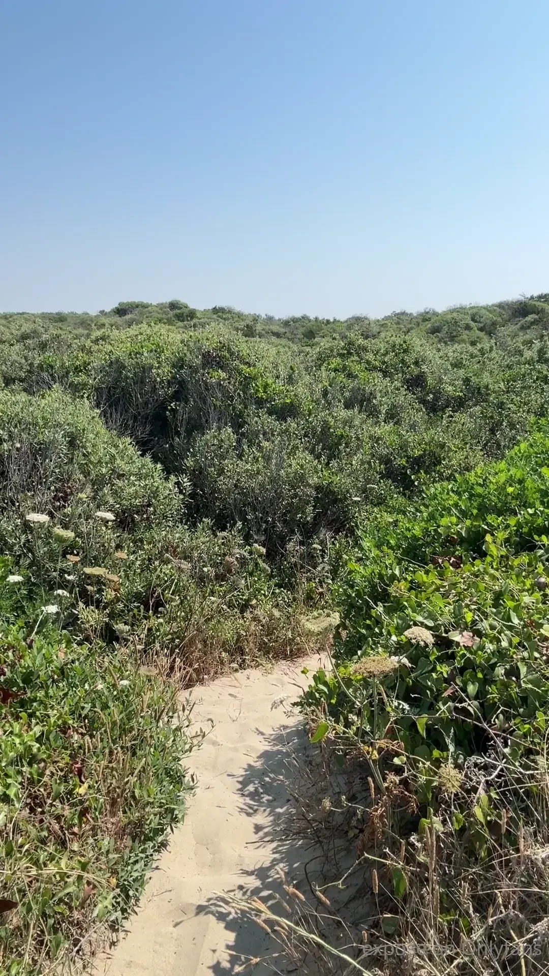 I love to have fun in the bush 