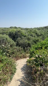 I love to have fun in the bush