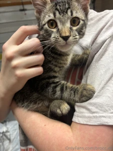 I apologize for the lack of content the past couple of days i found