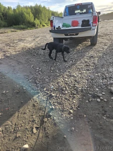 Had a great evening at the river with my boys part 13