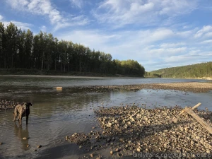 Had a great evening at the river with my boys part 3