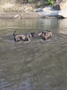 Had a great evening at the river with my boys part 4