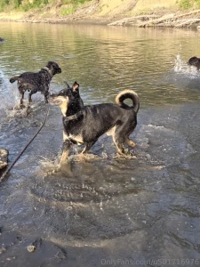 Had a great evening at the river with my boys part 17