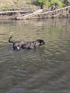 Had a great evening at the river with my boys part 7