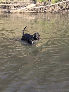 Had a great evening at the river with my boys part 14