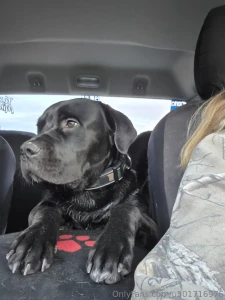 Had a great evening at the river with my boys part 15