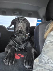 Had a great evening at the river with my boys part 1