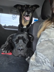 Had a great evening at the river with my boys part 10