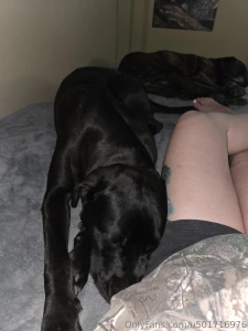 Had a great evening at the river with my boys part 6