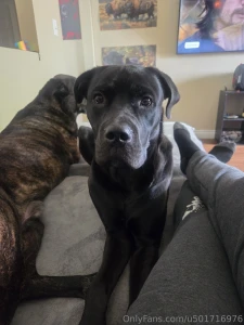 Oo i just cant with this face my youngest carl is a ham part 2