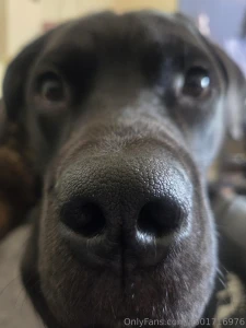 Oo i just cant with this face my youngest carl is a ham